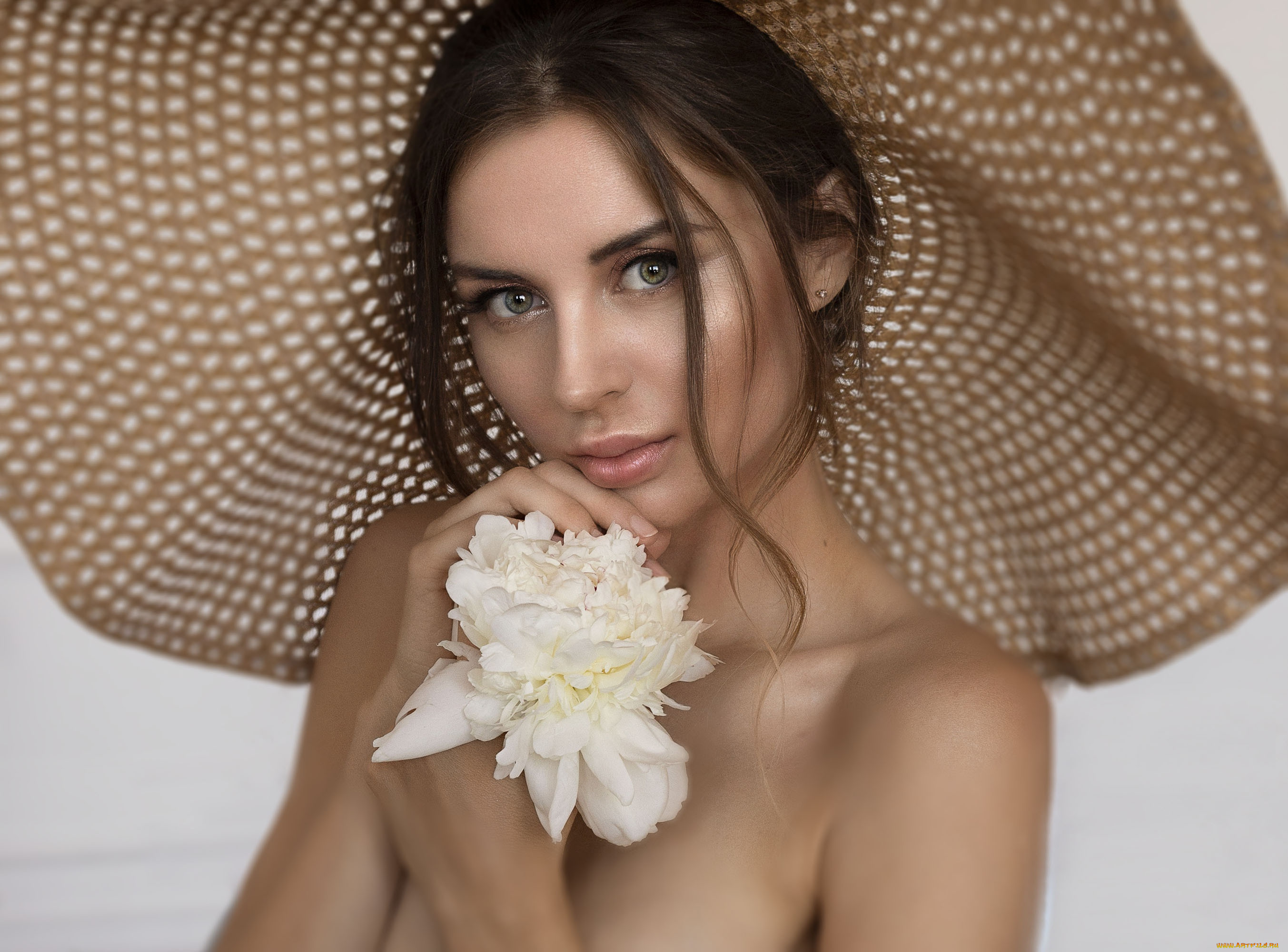 , - ,  , , , , , , , , , , 